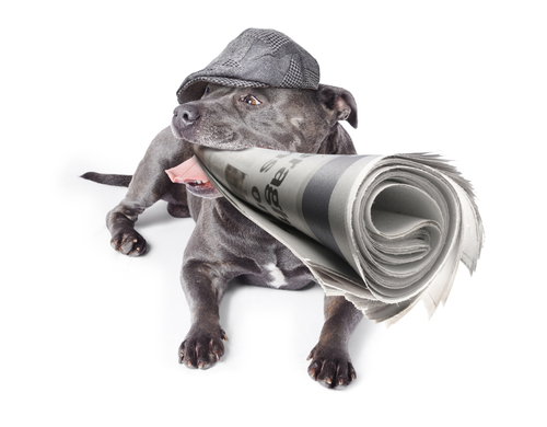 Content_Marketing_BlinkJargon